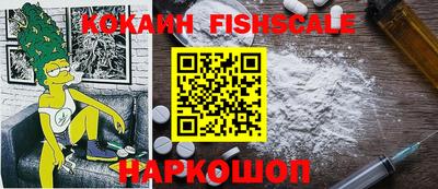 дмт Славгород