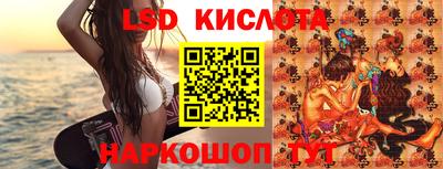 дмт Славгород