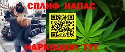 дмт Славгород