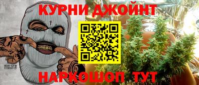 дмт Славгород